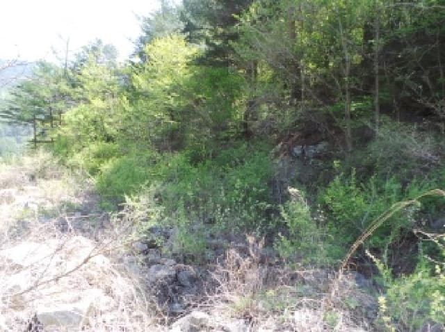 B000264202501300304163.jpg