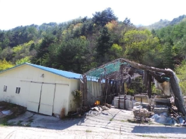 B000264202501300304164.jpg