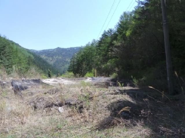 B000264202501300304161.jpg