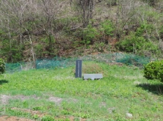 B000264202501300304213.jpg