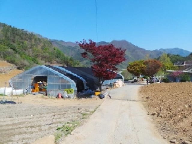 B000264202501300304324.jpg
