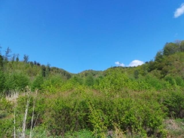 B000264202501300304423.jpg