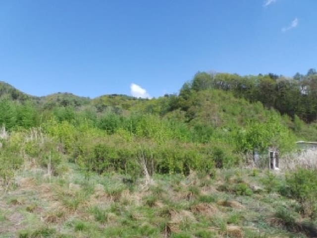 B000264202501300304422.jpg