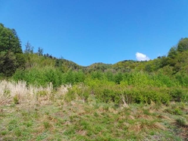 B000264202501300304421.jpg