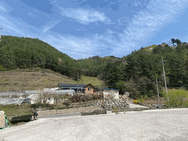 B000264202501300304434.jpg