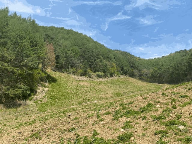 B000264202501300304435.jpg