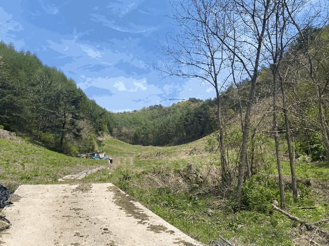 B000264202501300304431.jpg