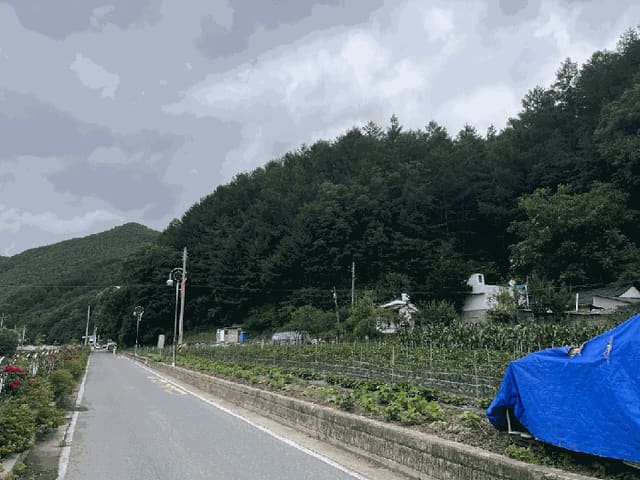 B000264202501300304641.jpg