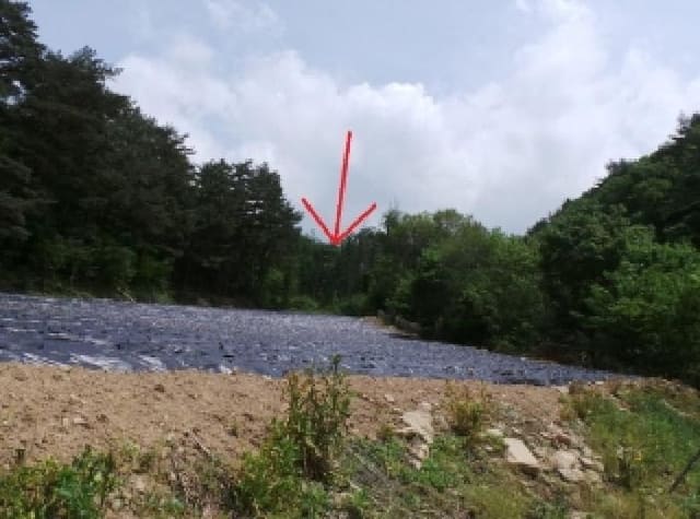 B000264202501300304664.jpg