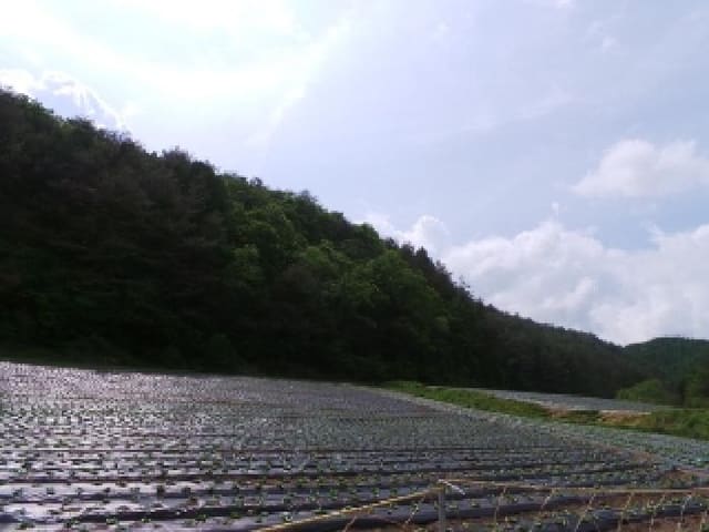 B000264202501300304662.jpg