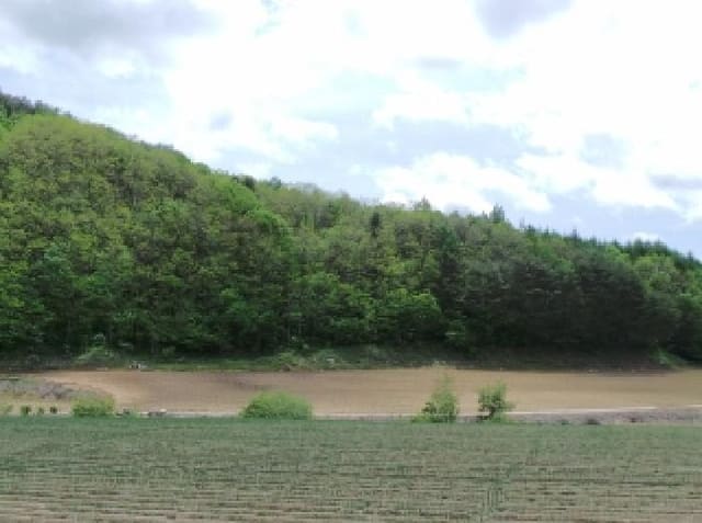 B000264202501300304663.jpg