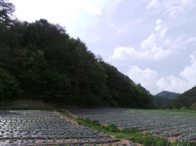 B000264202501300304661.jpg
