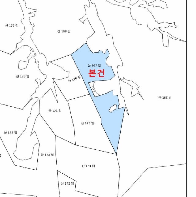 B000264202501300304754.jpg