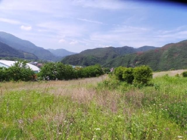 B000264202501300304811.jpg