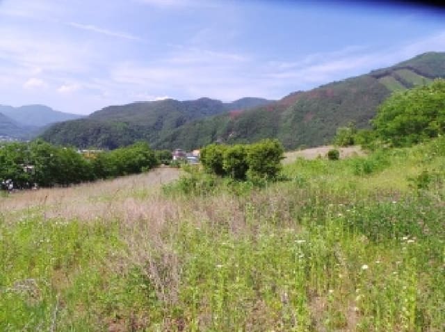 B000264202501300304812.jpg