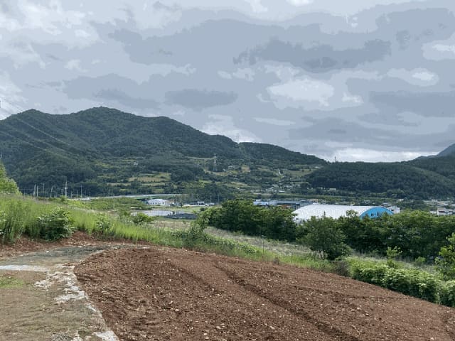 B000264202501300304813.jpg