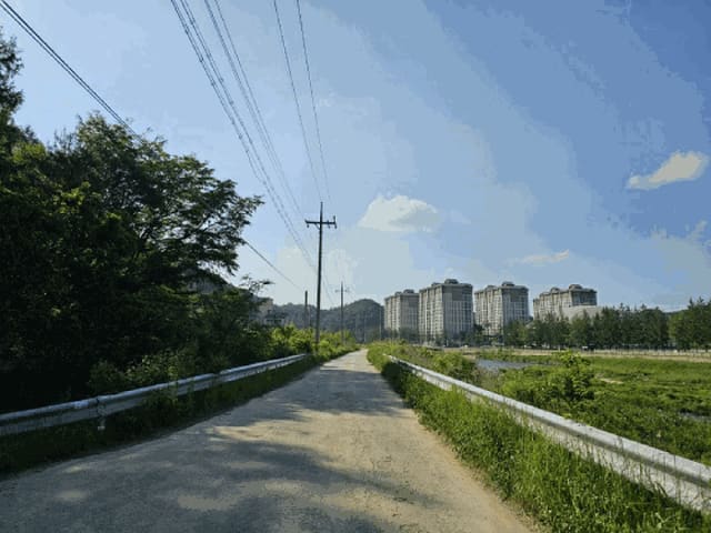 B000264202501300304834.jpg