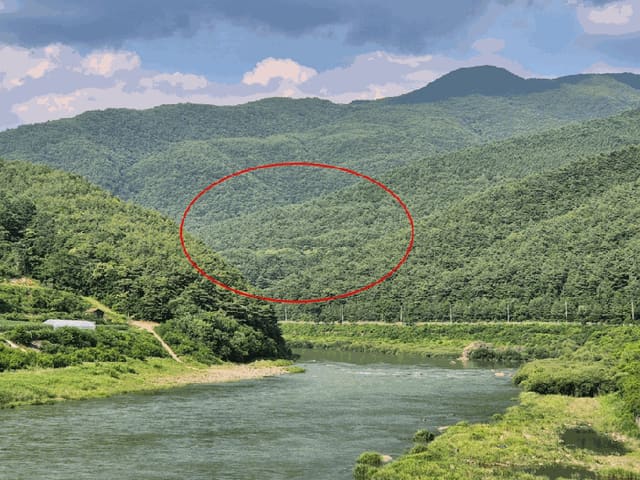 B000264202501300304854.jpg