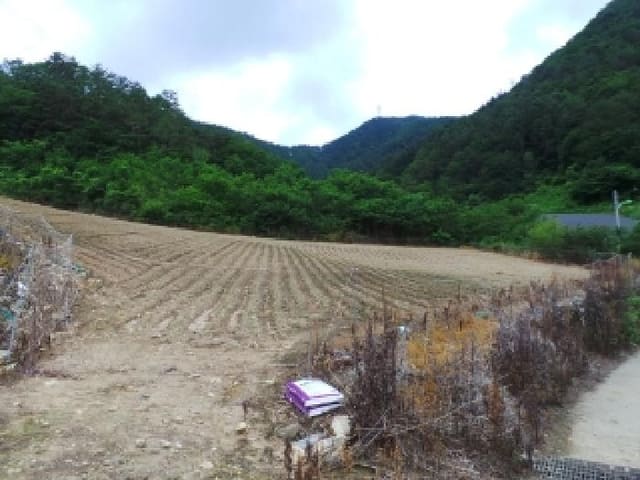 B000264202501300304884.jpg