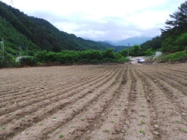 B000264202501300304881.jpg
