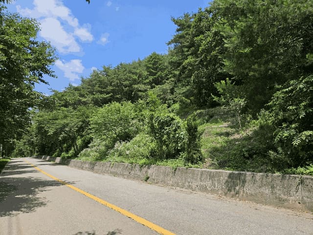 B000264202501300304943.jpg