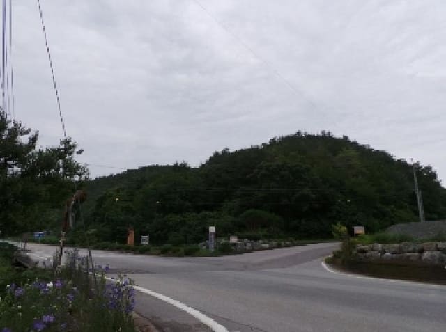 B000264202501300304971.jpg