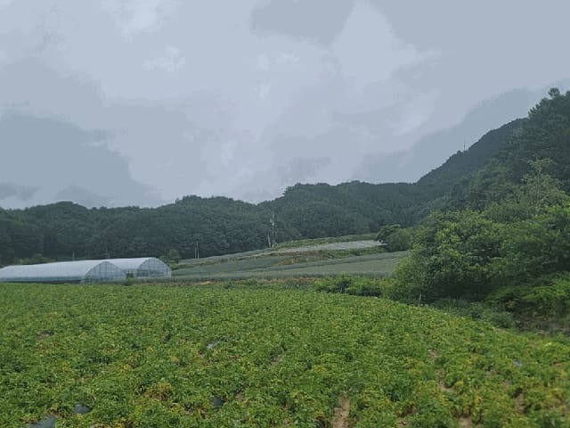 B000264202501300305072.jpg
