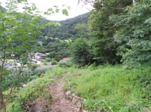 B000264202501300305104.jpg
