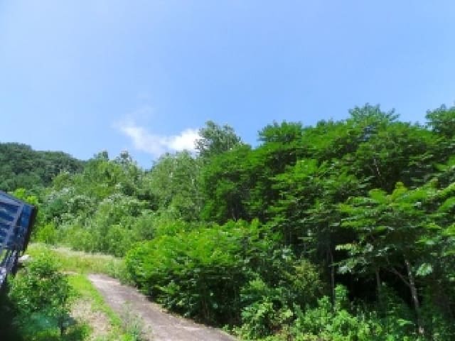 B000264202501300305111.jpg