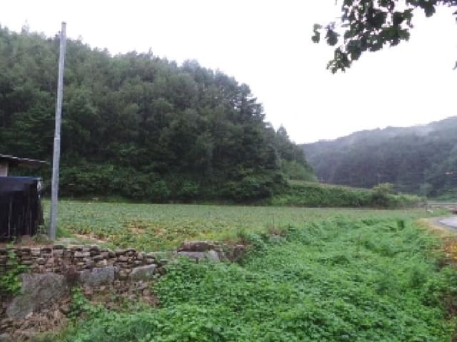 B000264202501300305281.jpg