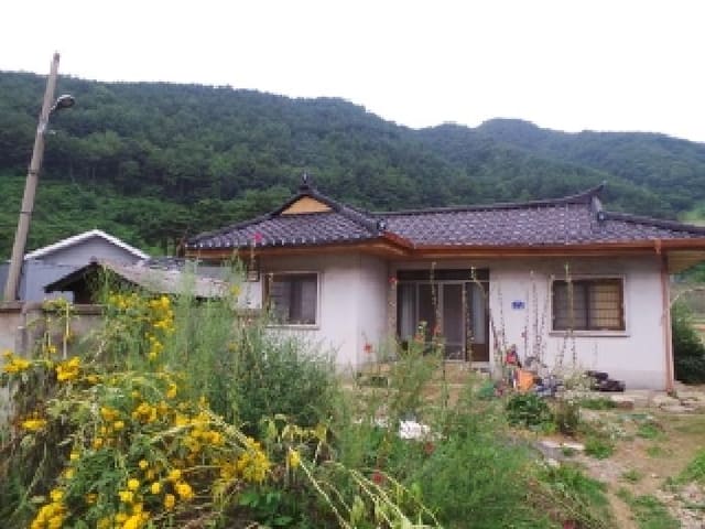 B000264202501300305413.jpg