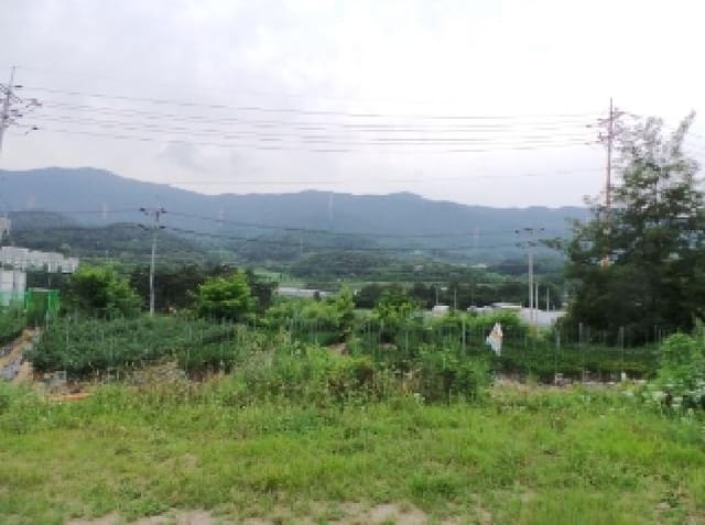 B000264202501300305421.jpg