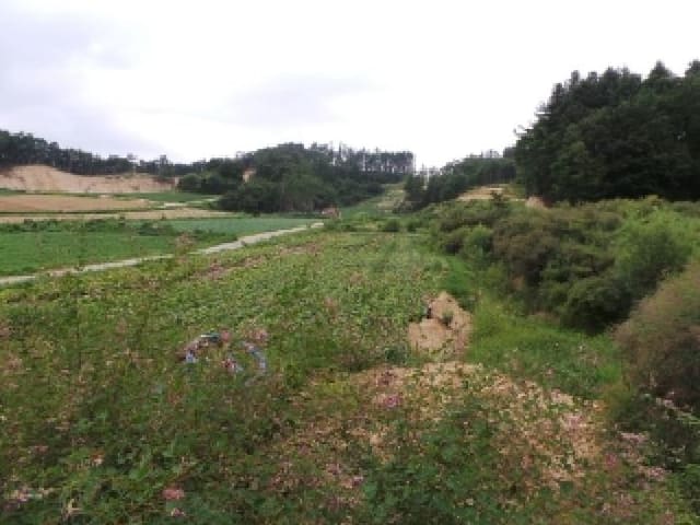 B000264202501300305463.jpg