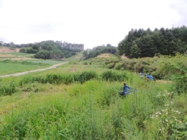 B000264202501300305462.jpg