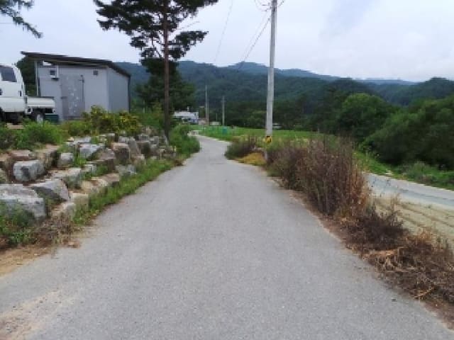B000264202501300305482.jpg
