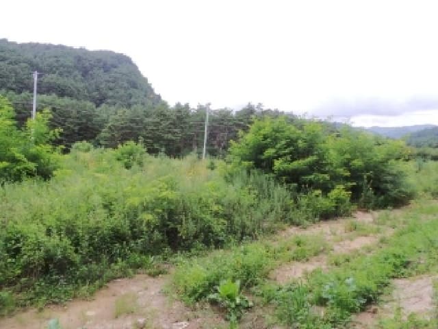 B000264202501300305484.jpg