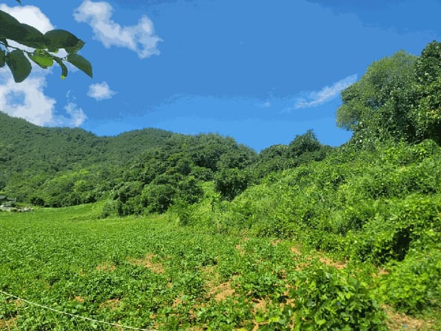 B000264202501300305522.jpg