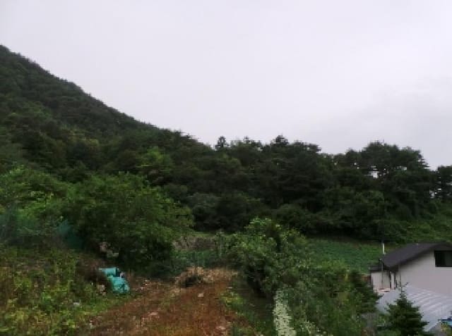 B000264202501300305521.jpg