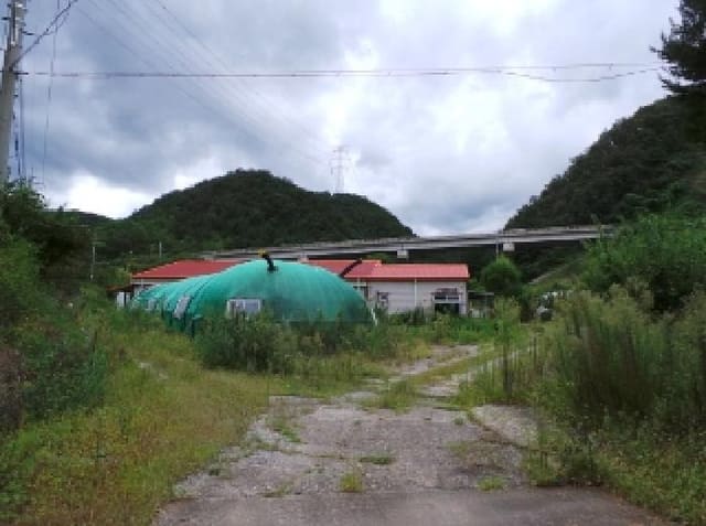 B000264202501300305594.jpg