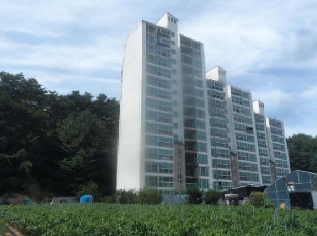 B000264202501300305601.jpg