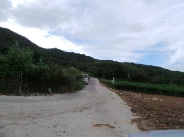 B000264202501300305701.jpg