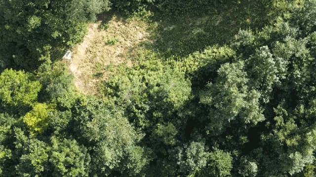B000264202501300305754.jpg