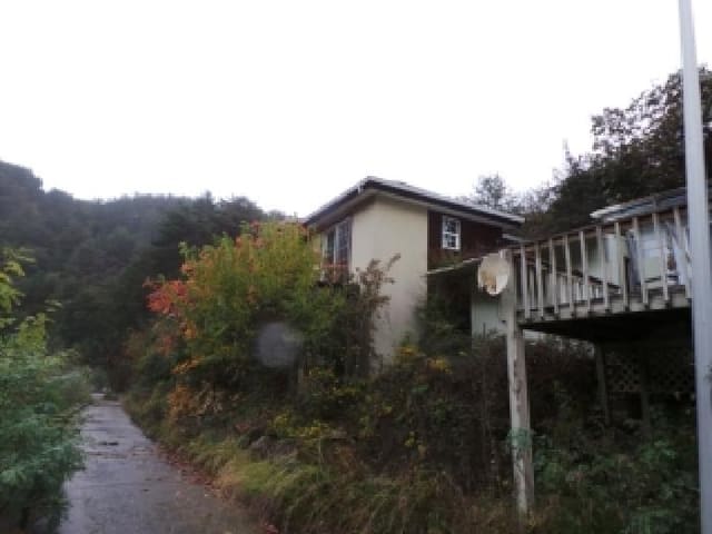 B000264202501300305784.jpg