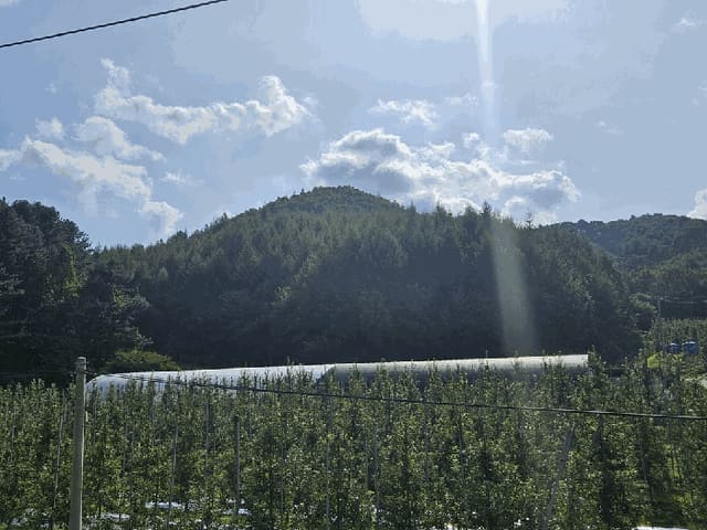 B000264202501300305914.jpg