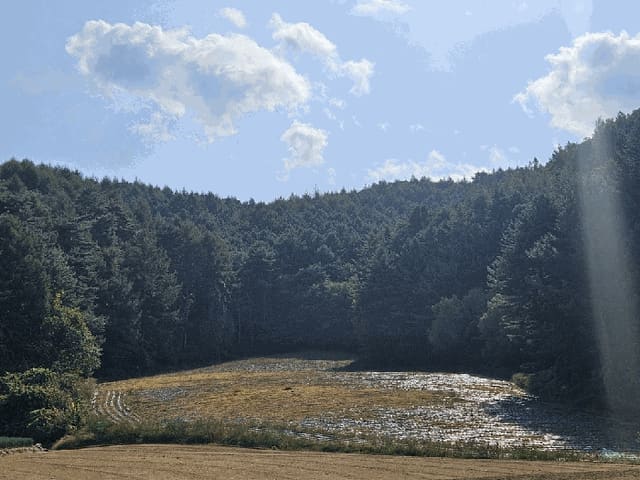B000264202501300305911.jpg