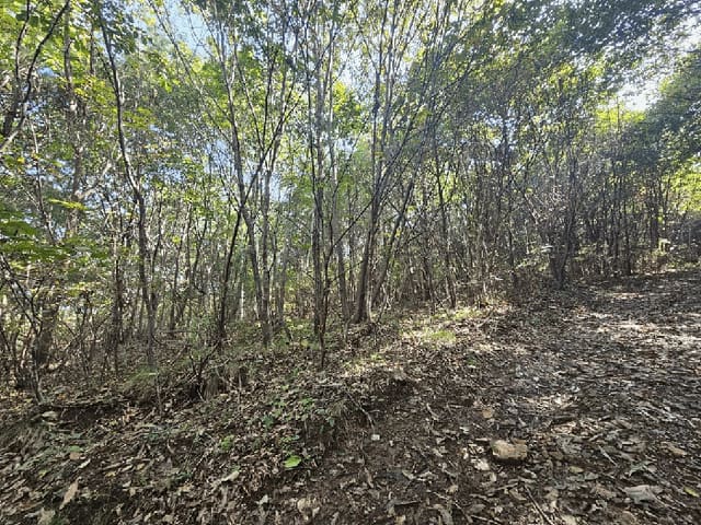 B000264202501300305941.jpg