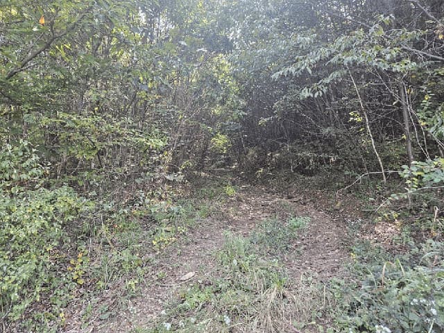 B000264202501300305944.jpg
