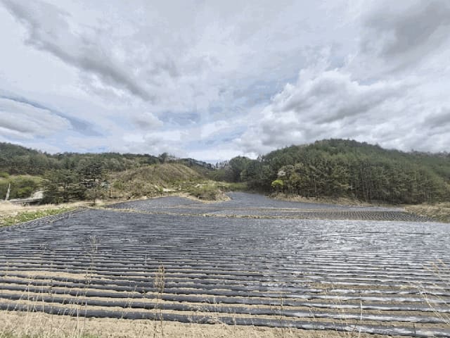 B000264202501300305994.jpg