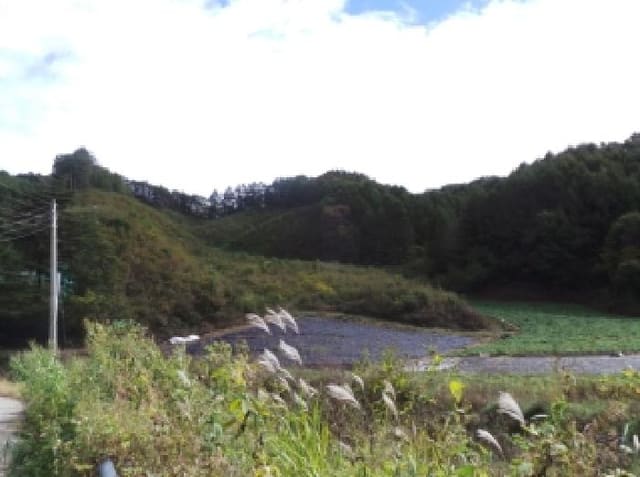B000264202501300305991.jpg