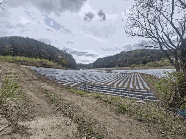 B000264202501300305992.jpg